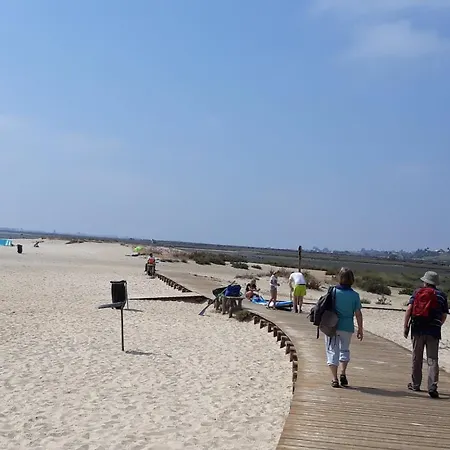 Sitio Da Cornucopia Mobile