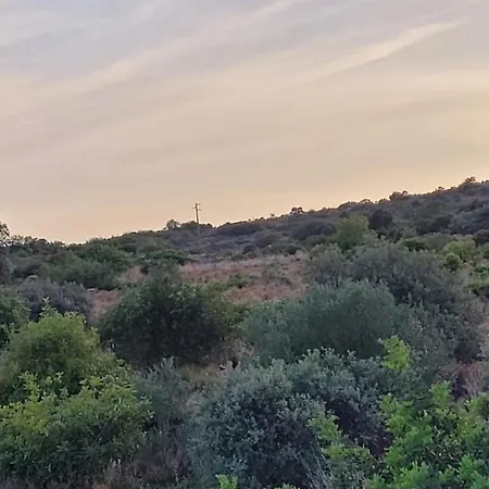 Sitio Da Cornucopia Mobile